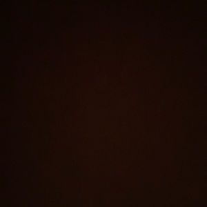 Meet your Posher, Bryce